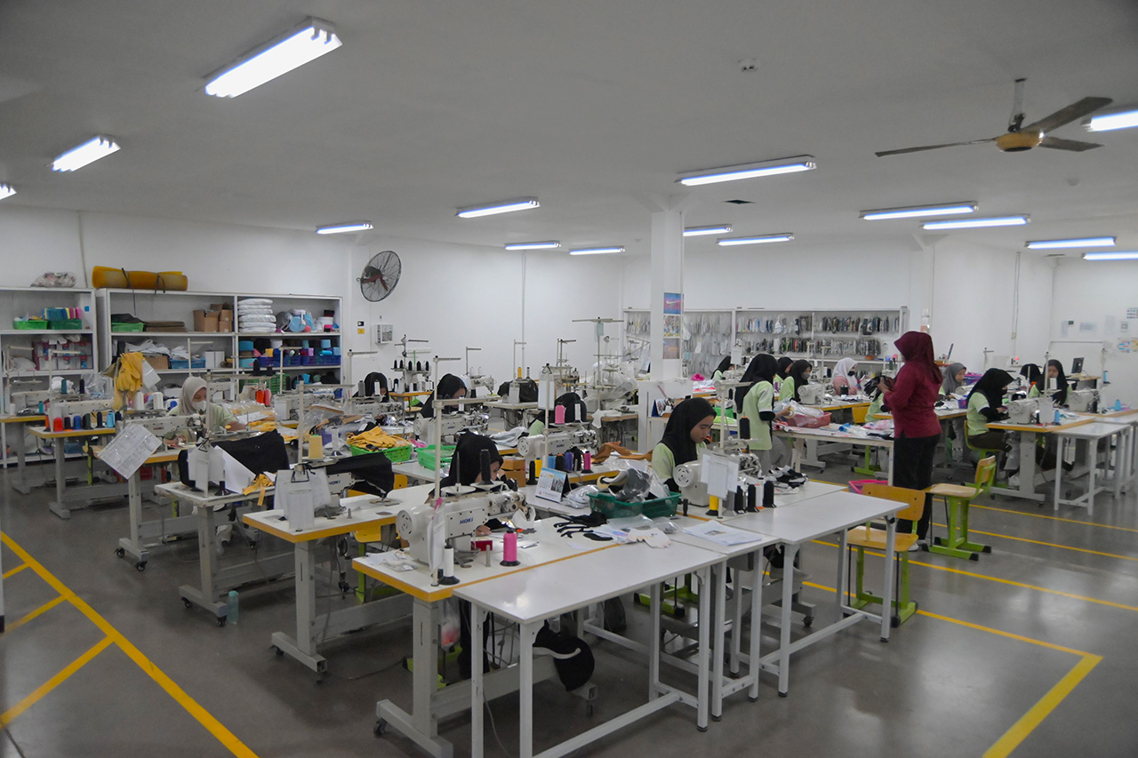 Sample & Development